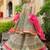 Ethnic Motifs Printed Tiered Gotta Patti Pure Silk Kurta with Sharara and Dupatta