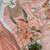 Baby Pink Color Sequnce Embroidery Printed and Organza 2Salwar Suit