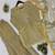 Gold Color Sequence  Embroidery Work Silk blend Salwar Suit