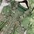 Green Color Sequence Embroidery Work Silk Blend Salwar Suit