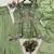 Green Color Sequence Embroidery Work Silk Blend Salwar Suit