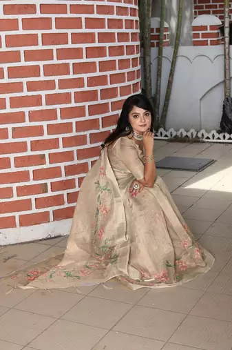 beige multicolor shimmer handloom cotton blend digital print saree