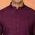 Chikan embroidered cotton rayon purple kurta