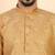 Ethinic motifs jacquard  beige kurta