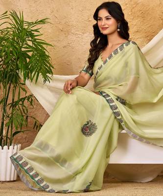 pista green chocolate silk blend saree embellished border work (sfsrsk1005) 5