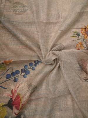 grey shimmer handloom cotton blend digital print saree (t sfshmr42) 5