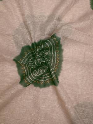 beige green shimmer handloom cotton blend saree with floral print (t sfshmr35) 5