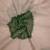 beige green shimmer handloom cotton blend saree with floral print (t sfshmr35)