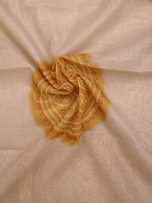 cream mustard shimmer handloom cotton blend digital print saree 5