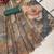 beige brown shimmer handloom cotton blend digital print saree (t sfshmr4)