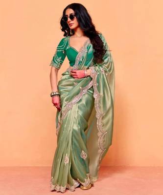 Light green chiffon sequins work embroidered saree 2