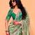 Light green chiffon sequins work embroidered saree