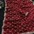 Maroon silk blend sequins work embroidered saree