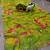 Parrot green georgette mirror work printed saree