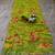 Parrot green georgette mirror work printed saree