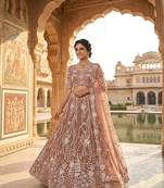 brown net embroidered traditional lehenga choli