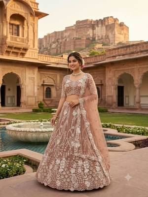 brown net embroidered traditional lehenga choli 4