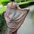 Ethnic motifs silk blend bandhani saree