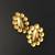 Gold plated glam stud earrings