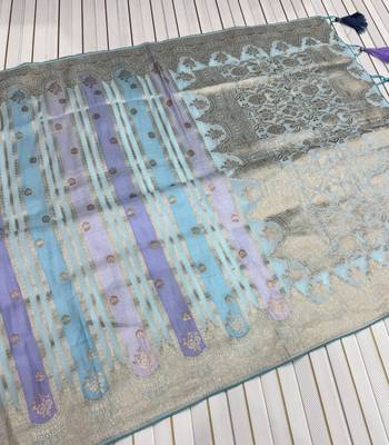 Sky Blue Color Jaqurad Weaving Work Georgette Saree 2