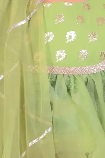 Green Organza Frill Printed Lehenga Set