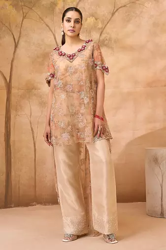 Beige gold embroidered tissue silk co ord set