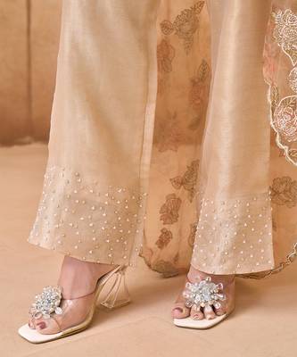 Beige gold embroidered tissue silk co ord set 2