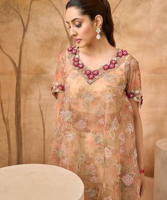 Beige gold embroidered tissue silk co ord set 3