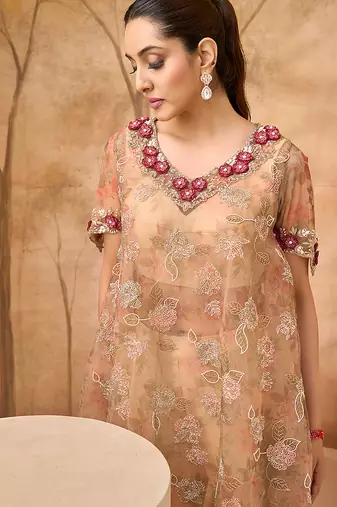 Beige gold embroidered tissue silk co ord set