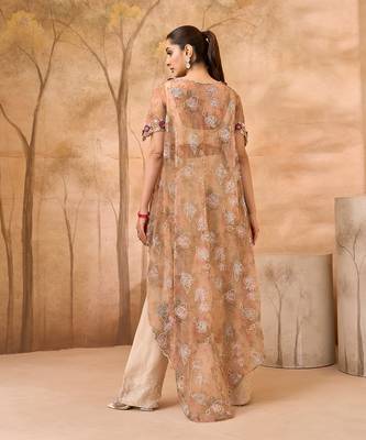 Beige gold embroidered tissue silk co ord set 5