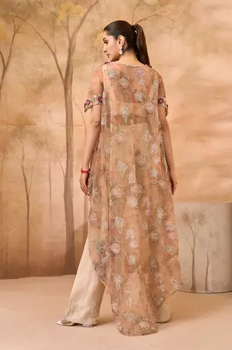 Beige gold embroidered tissue silk co ord set