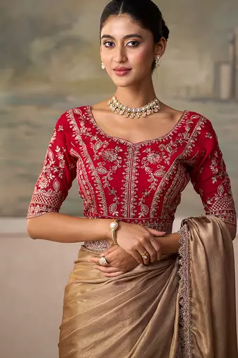 Chiku faux chiffon saree with rich red embroidered blouse