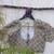 Cream cotton printed readymade blouse