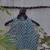Sky blue cotton printed readymade blouse