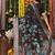 black cotton blend saree with multi-color floral embroidery