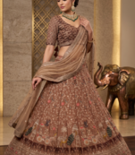 Designer Embroidered Brown Lehenga Choli with Dupatta
