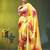 Yellow chinon silk saree with vibrant floral print