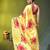 Yellow chinon silk saree with vibrant floral print