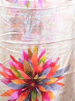 Beige chinon silk saree with vibrant floral print 5