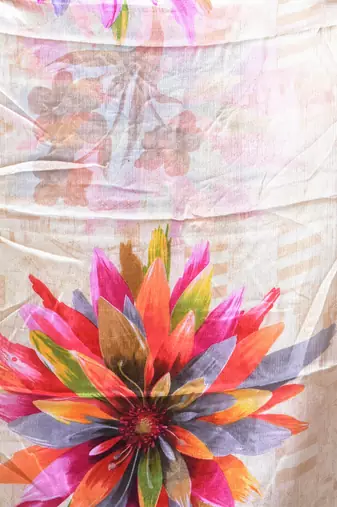 Beige chinon silk saree with vibrant floral print