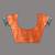 Orange tissue saree with rose woven border