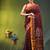 maroon cotton blend saree with ethnic motifs