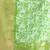 Elegant green organza saree with white floral embroidery & rich golden zari border