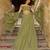 Pista Green Umbrella Cut Lehenga Choli for Wedding Functions For Women's