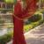 Leheriya pure chiffon leheriya saree