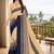 Pure georgette bandhani saree