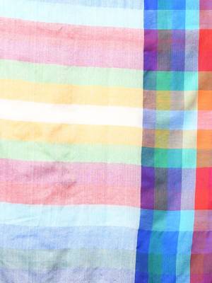 Striped pure cotton bandhani saree 4