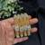 Gold Plated CZ Bangles Set: Indian Bridal Wedding Jewelry