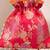 Red katan silk potli bag