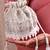 Silver brocade silk potli bag